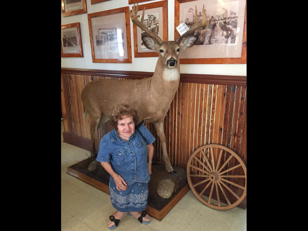 2015-09-05 deer @ Marsh Landing