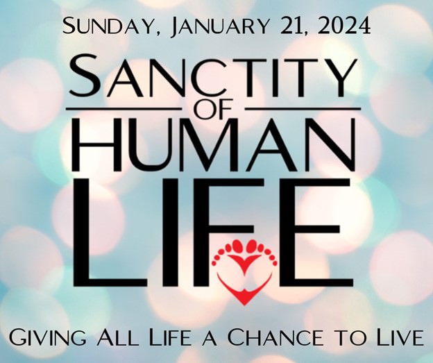 sanctity of human life