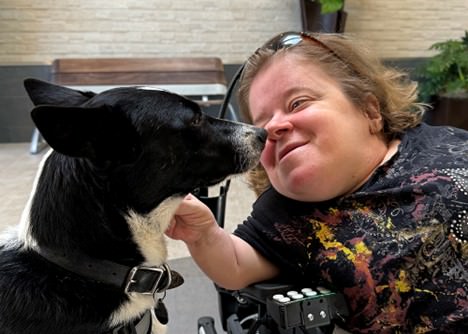 Can You Train Your Own Service Dog 1