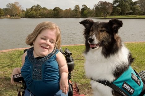 Can You Train Your Own Service Dog 2